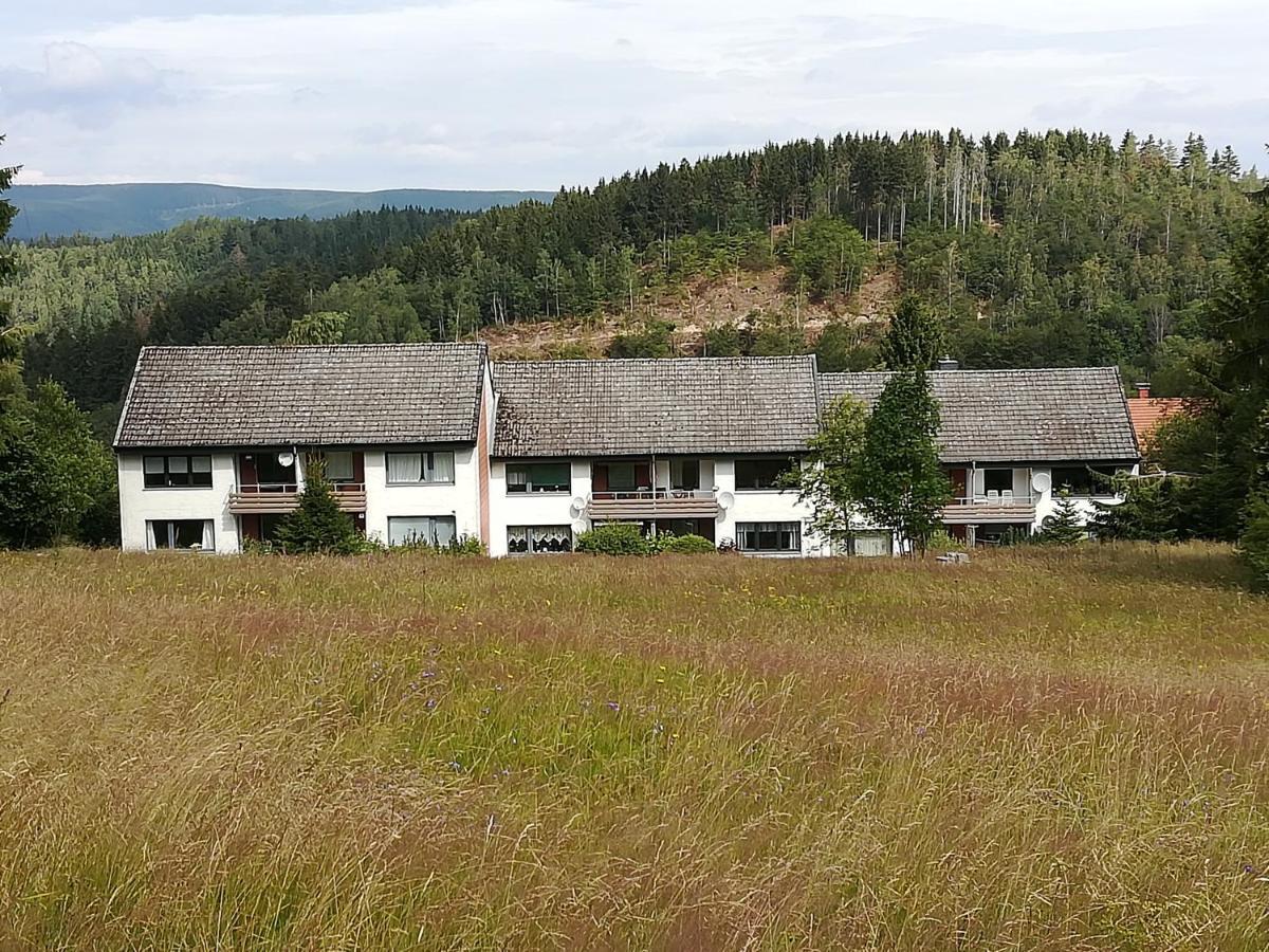 Ferienwohnung Am Kunstberg 29 阿尔特瑙 外观 照片