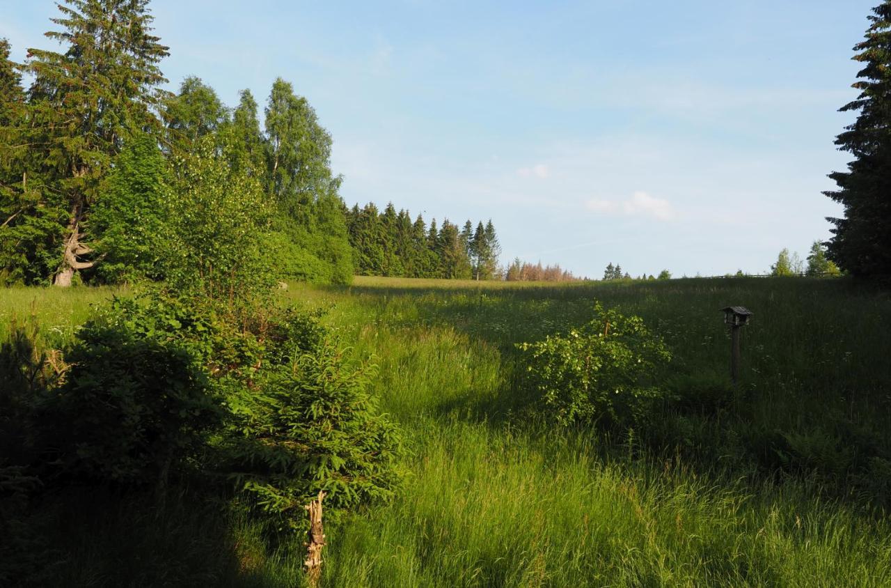 Ferienwohnung Am Kunstberg 29 阿尔特瑙 外观 照片